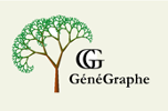Lancement de G&eacute;n&eacute;Graphe
